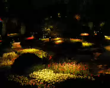 p8040319 Sunken garden at night.