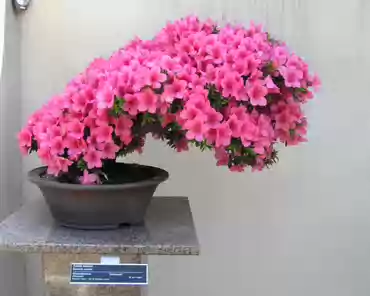 p6150020