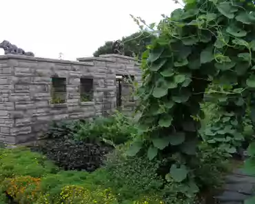 p8110028