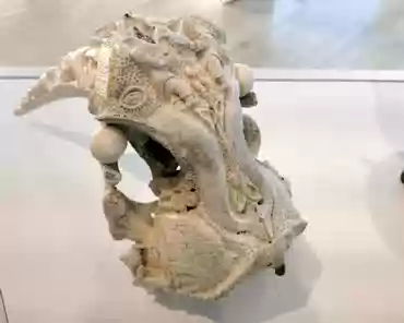 IMG_20191212_141320 Luke Airut, Carved walrus skull, bone, ivory, serpentine, 1990.