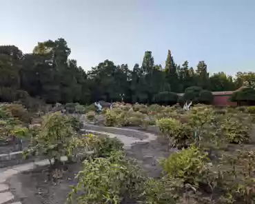 PXL_20241022_084110558