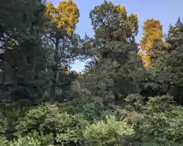 PXL_20241022_084458156