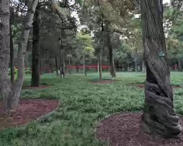 PXL_20241022_084538748