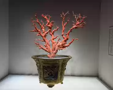 PXL_20241022_052801110