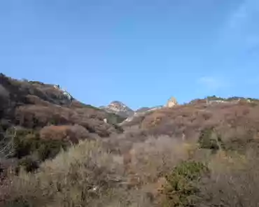 PXL_20241101_063355168