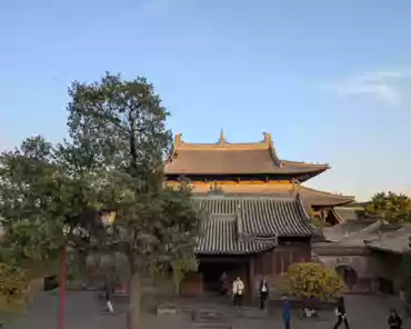 PXL_20241025_083659468