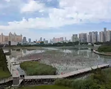 PXL_20241109_044109702