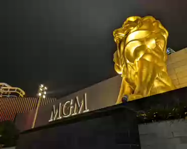 PXL_20241109_114525219 MGM.
