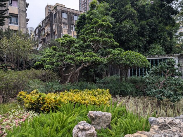 Lou Lim Loc Garden