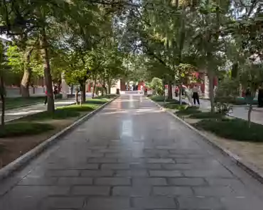 PXL_20241027_072109195