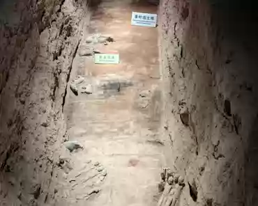PXL_20241026_085926019