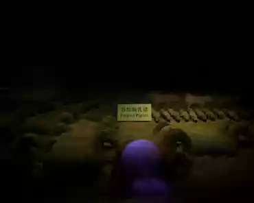PXL_20241026_090343911