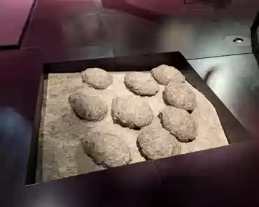 PXL_20241222_125628698 Dinosaur eggs, 70 million years old.