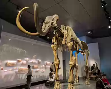 PXL_20241222_130326305
