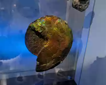 PXL_20241222_130423599