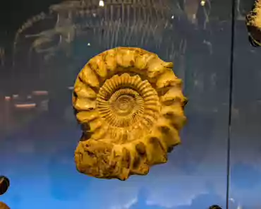 PXL_20241222_130622818