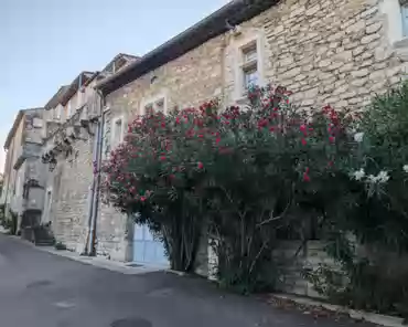 PXL_20240814_171432686