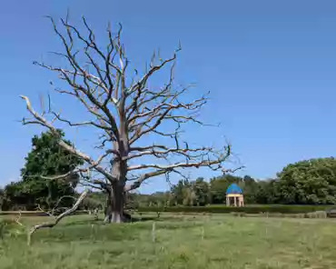 PXL_20240824_104450311