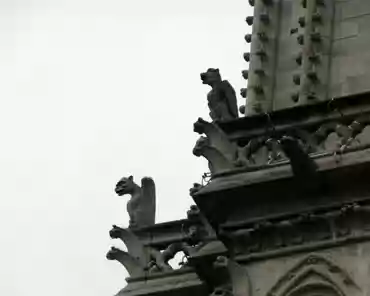 P1080373 Gargoyles.