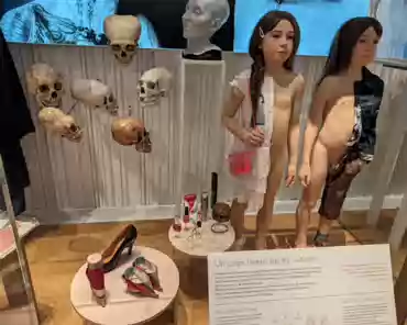 PXL_20240310_153046829 Skulls with human-made distortions; shoes aiming at distorting women's feet.