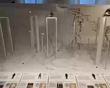PXL_20240310_160135710 Skeletons of pre/early humans, including Lucy.