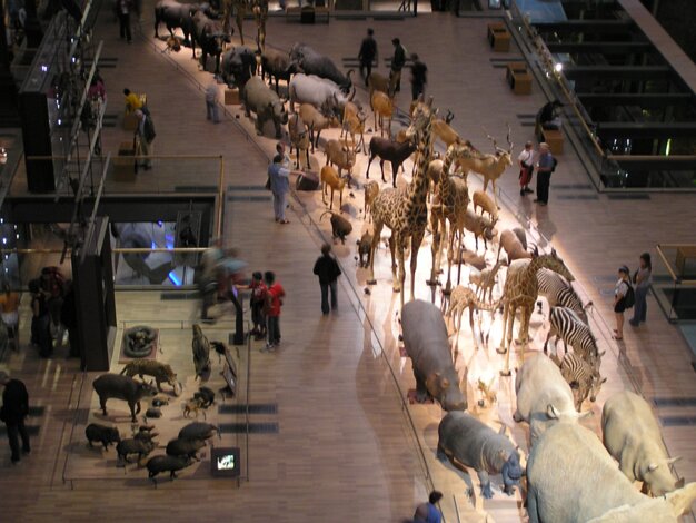 Natural history museum