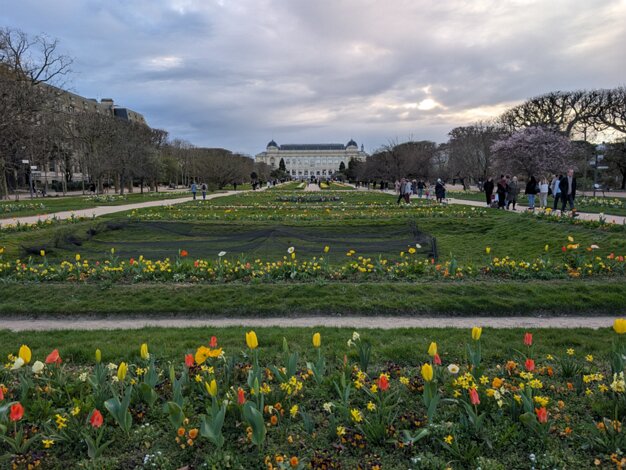 Jardin des plantes