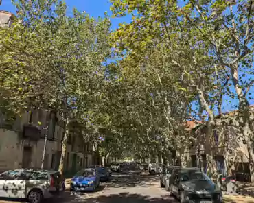 PXL_20240810_085002904