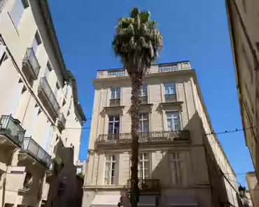PXL_20240811_095449207