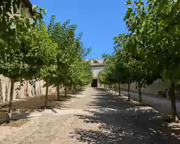 PXL_20240808_130950223