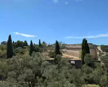 PXL_20240809_123514147