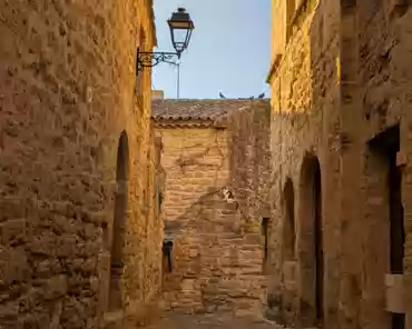 PXL_20241228_150747610