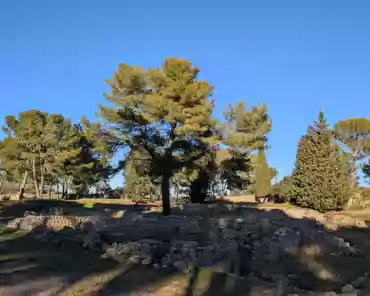 PXL_20241228_132924963