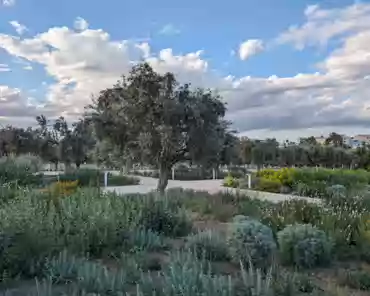 PXL_20240420_154327358