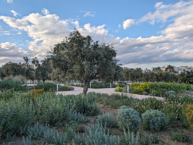 Stavros Niarchos Garden