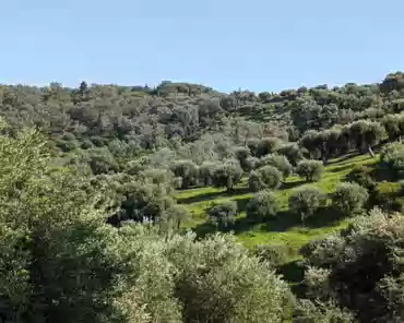 PXL_20240412_134750176