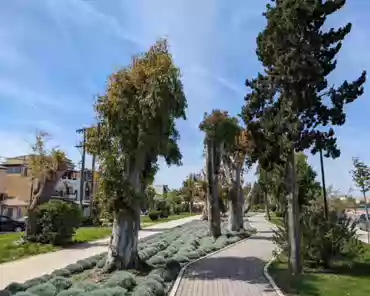 PXL_20240410_101831231