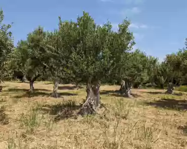 PXL_20240417_083426978