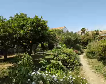 PXL_20240417_090748801