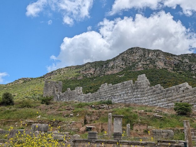 Wall