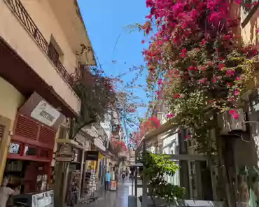 PXL_20240415_095919823
