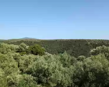 PXL_20240417_133917848