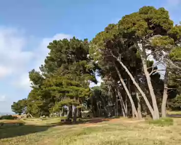 PXL_20240417_150614462