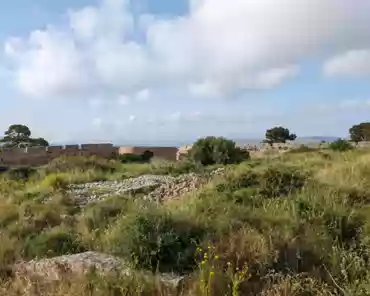 PXL_20240417_151252259