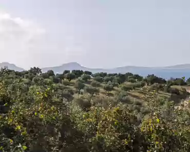 PXL_20240417_143856229