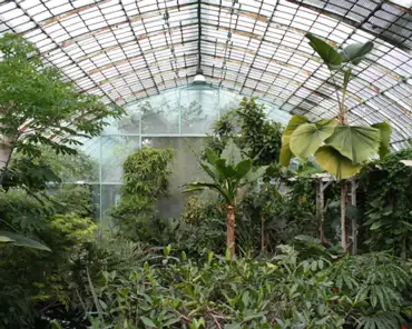 IMG_8313 Equatorial greenhouse.
